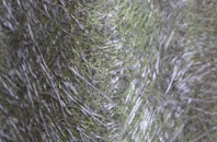 Smirisary fibreglass roof work